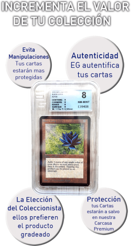 carta que no es de pokémon puntuada