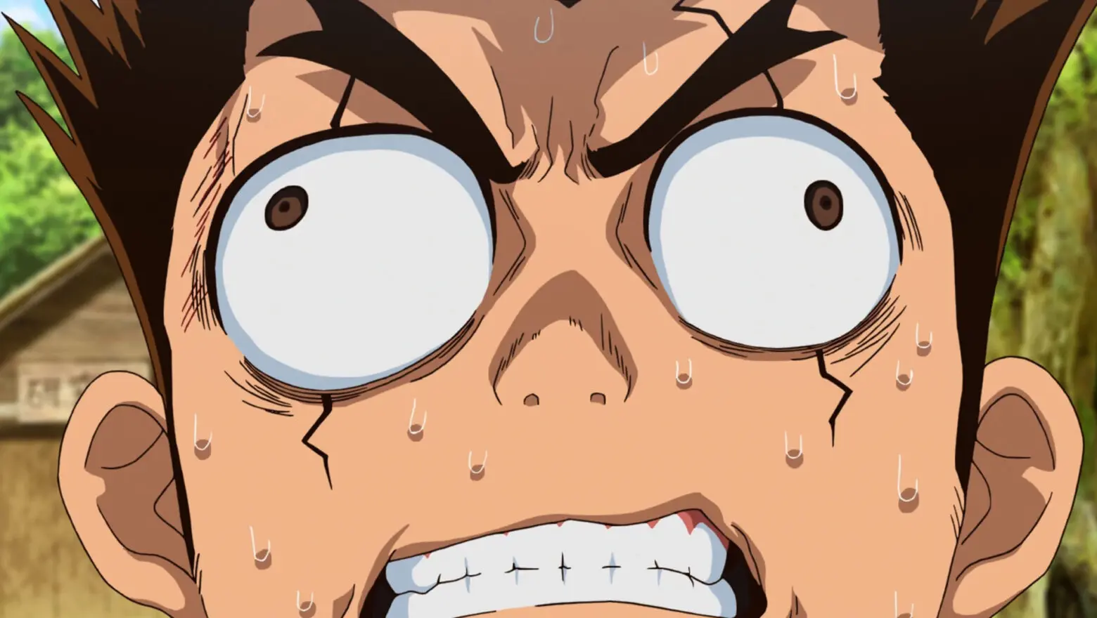 dr. stone confused