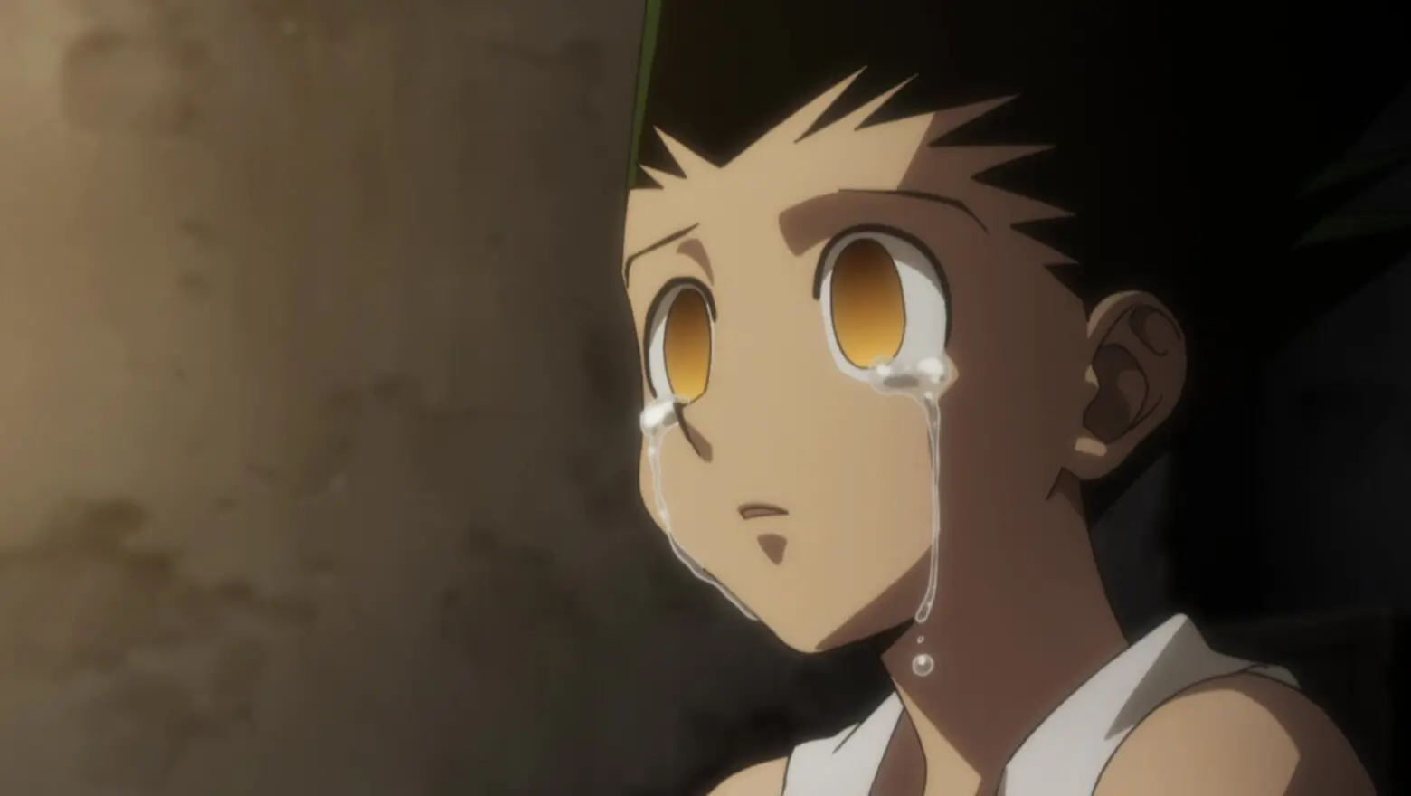 hunter x hunter gon