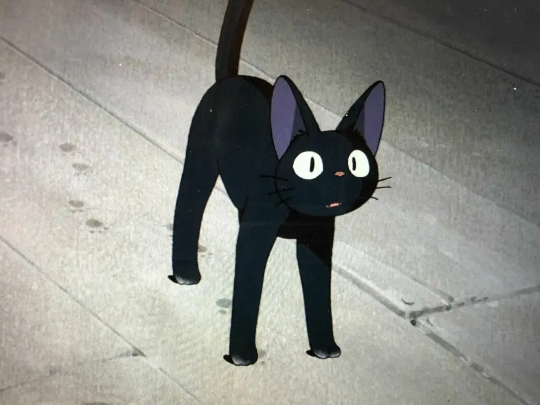 Jiji Nicky la aprendiz de bruja Studio Ghibli