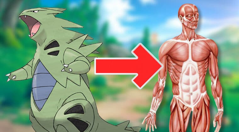 Imagen de Biólogo y fan de Pokémon ha dibujado la anatomía de Tyranitar de forma sorprendentemente detallada