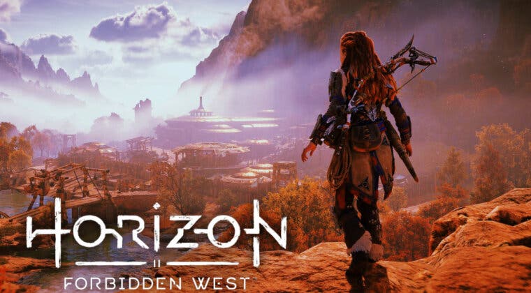 Imagen de ¡Seguro que no te has fijado en este detalle de Horizon Forbidden West! Un usuario de Reddit te lo enseña