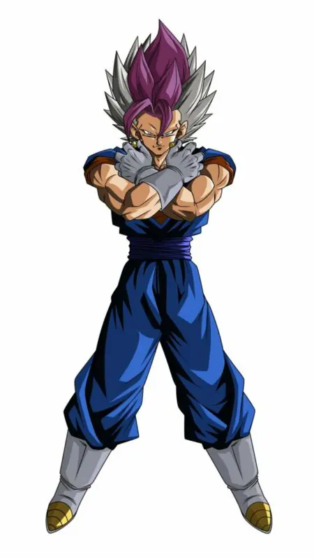ultra gogeta vegetto 2