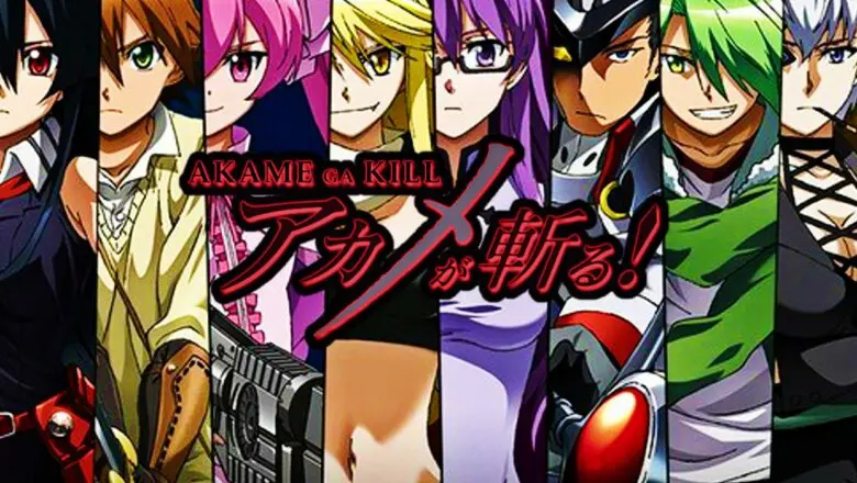 akame ga kill