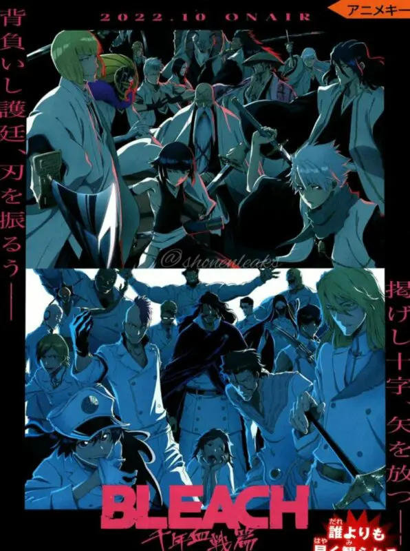 bleach
