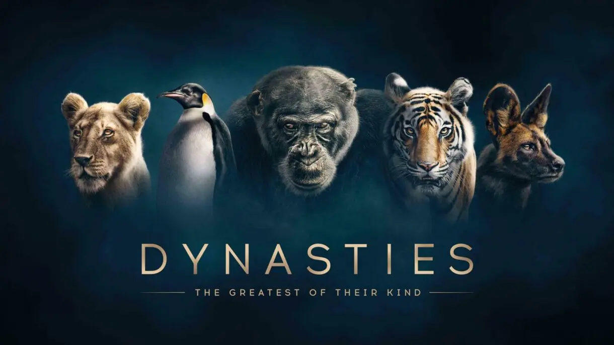 dinastias