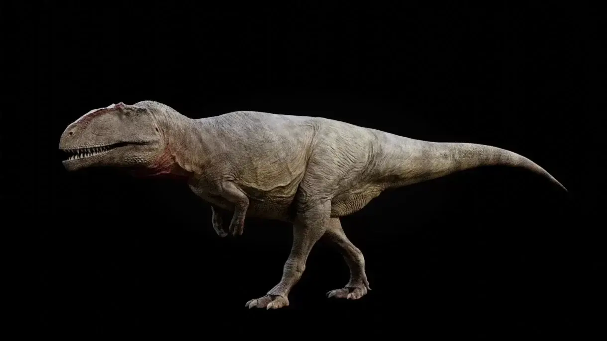 giganotosaurus carolinii