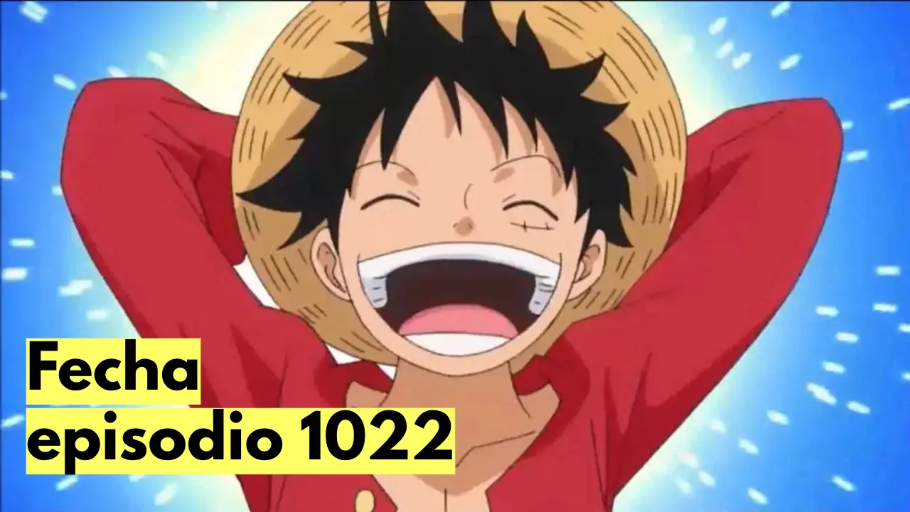 One Piece horario