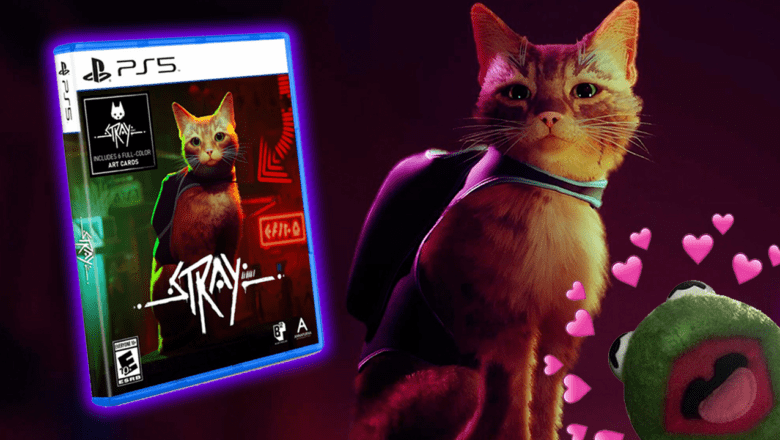 Anunciada la edición física de Stray