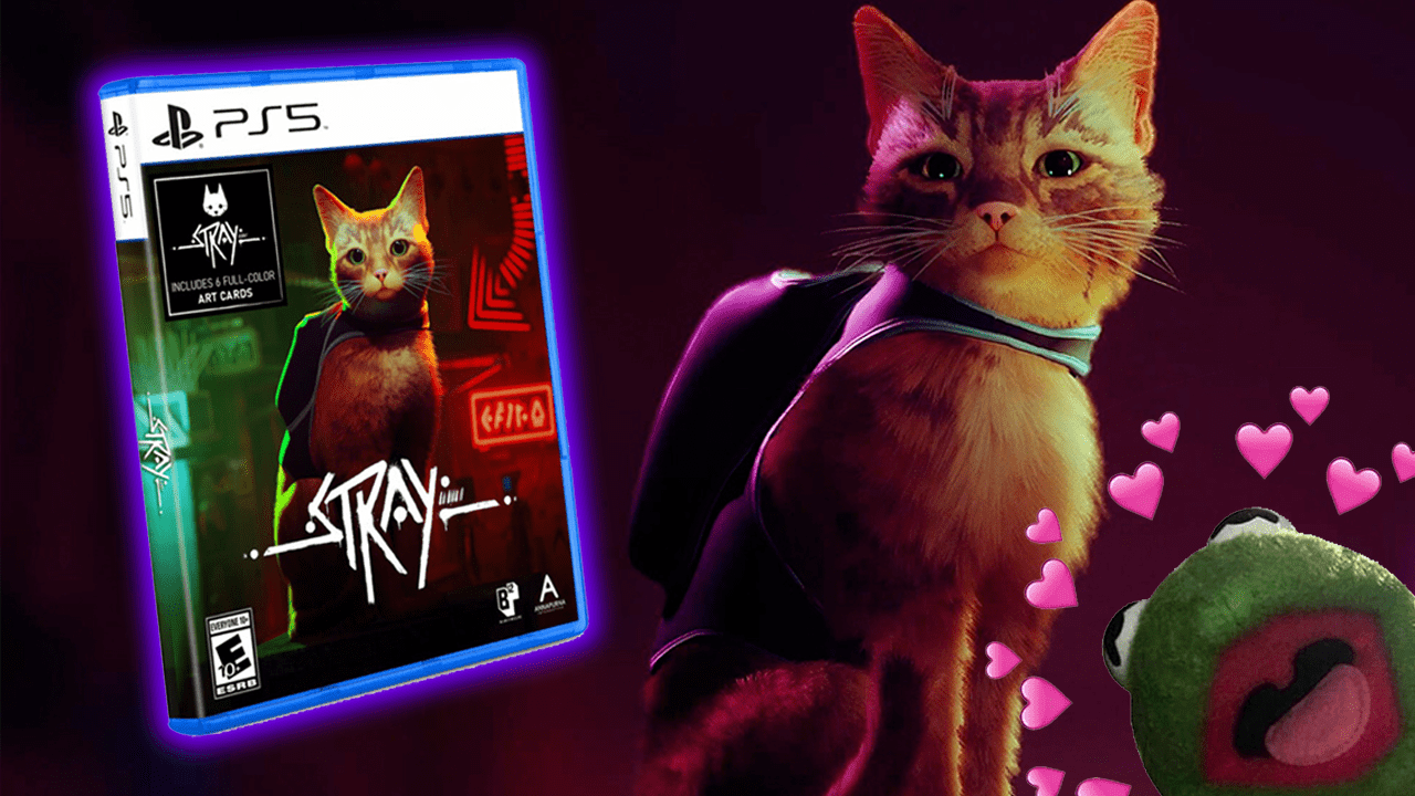 Anunciada la edición física de Stray