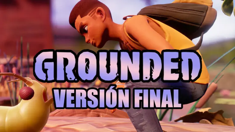 Sobre la versión final de Grounded