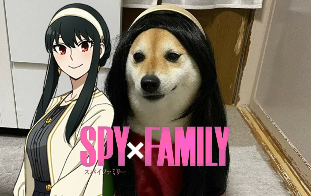 spy x family yor doge cosp