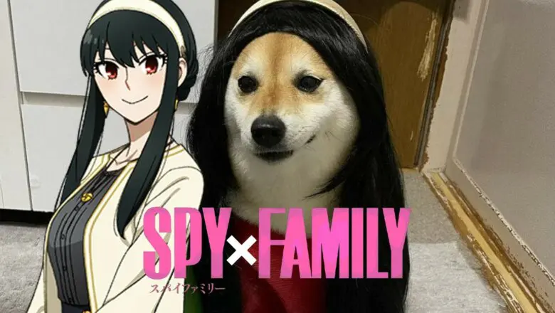 spy x family yor doge cosp