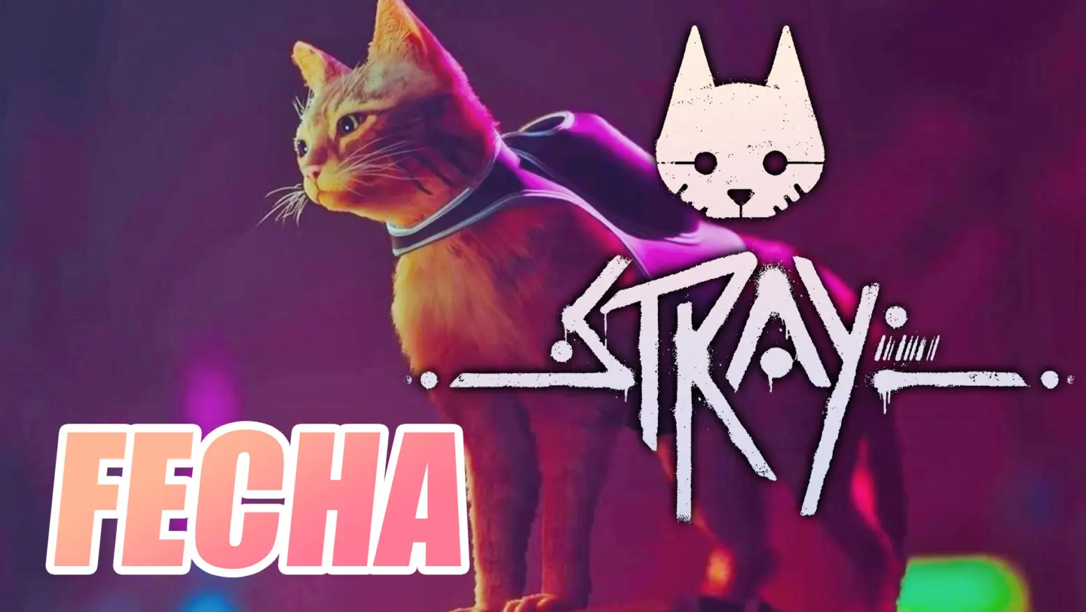 Anunciado el lanzamiento de Stray