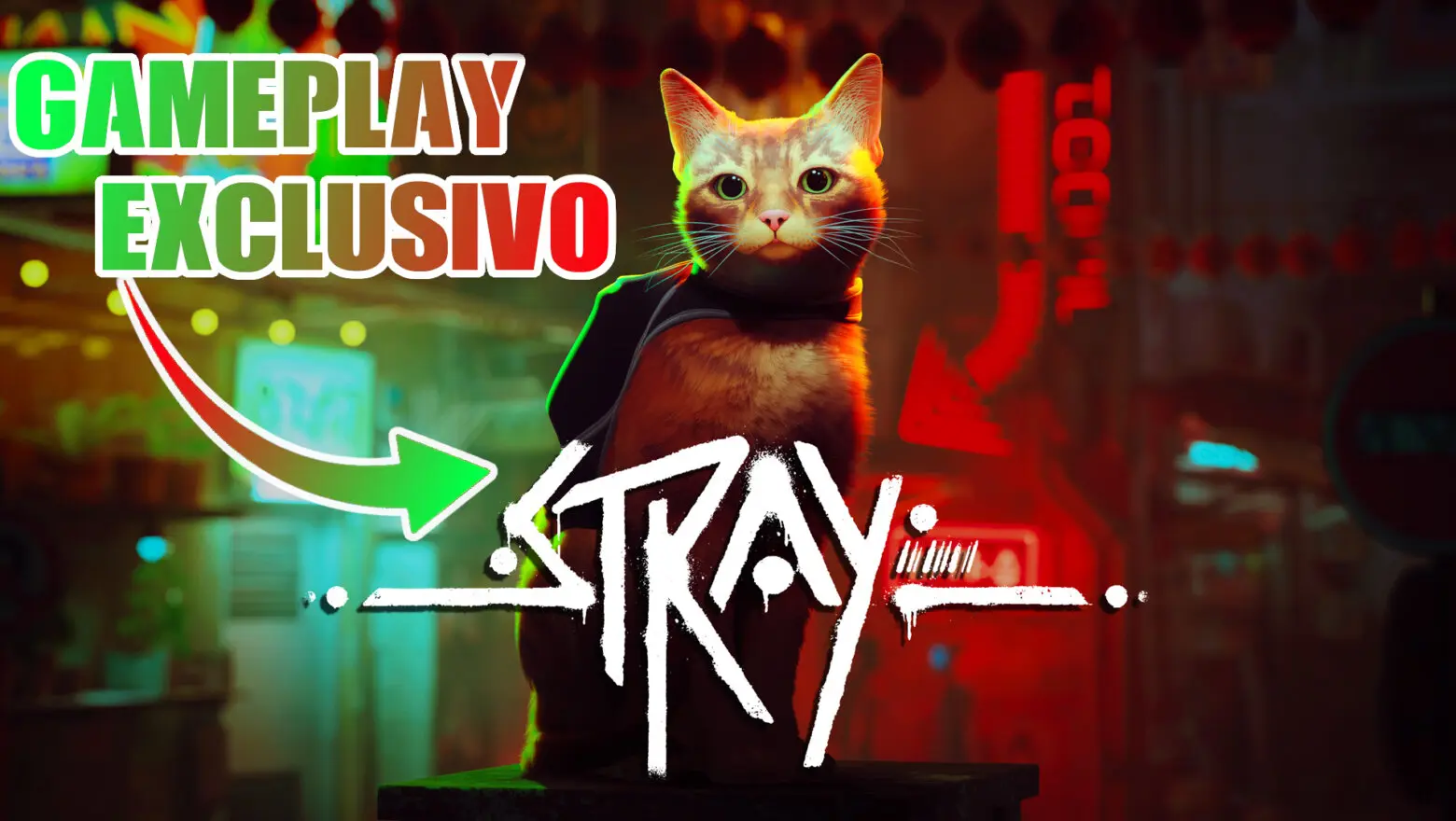 Stray