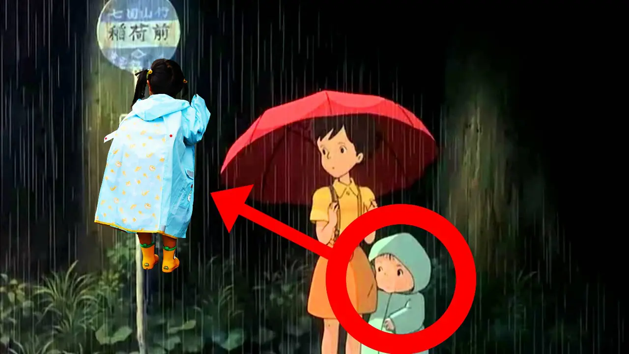 studio ghjibli totoro chubasquero