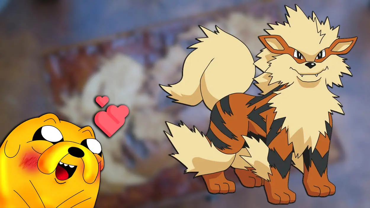 Pokémon