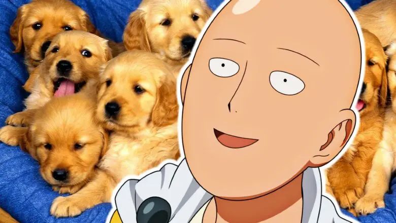 one punch man happy