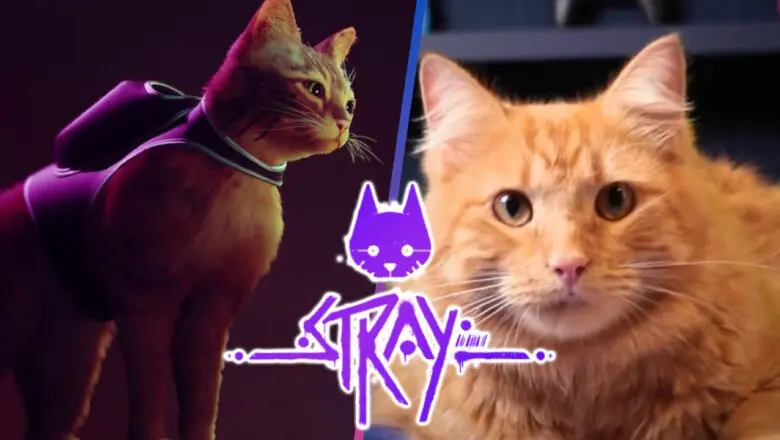 Nuevo tráiler de Stray