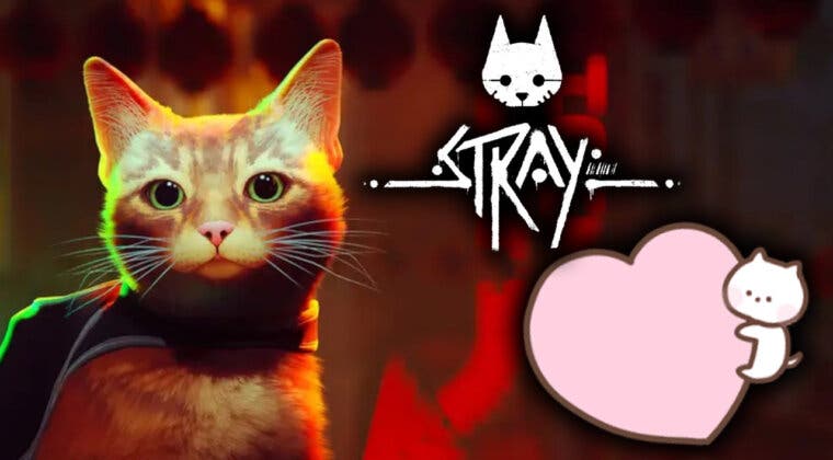 Imagen de Stray está levantando pasiones hasta en los propios gatos de los jugadores
