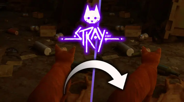 Imagen de Échale un vistazo a esta comparativa de Stray entre sus versiones de PC, Steam Deck, PS4 y PS5