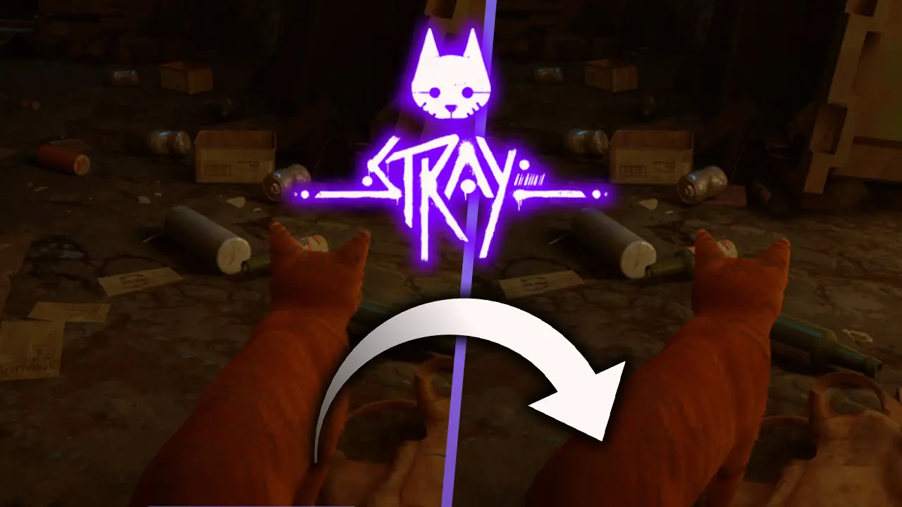 Vídeo comparativo de Stray