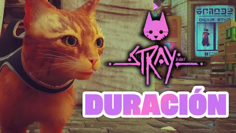 Duración de Stray