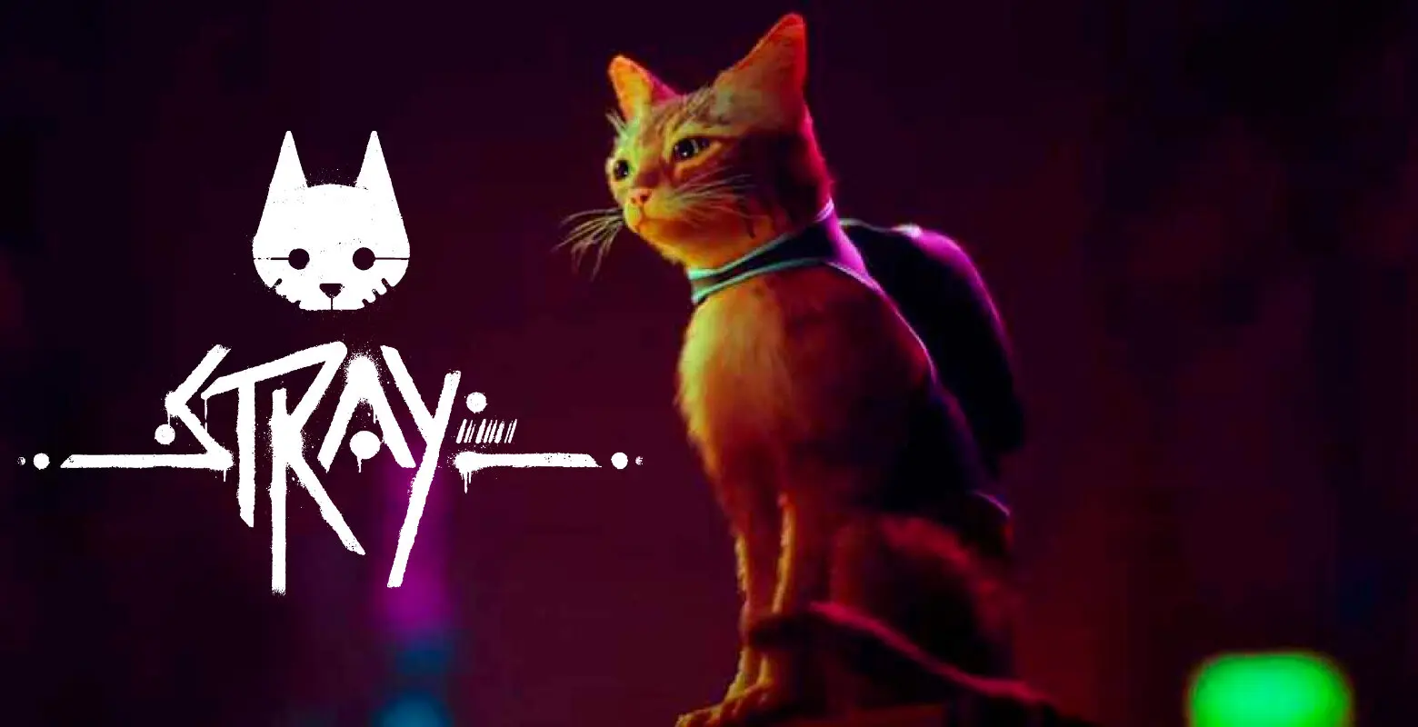 stray