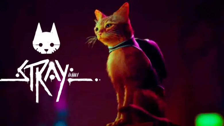 stray