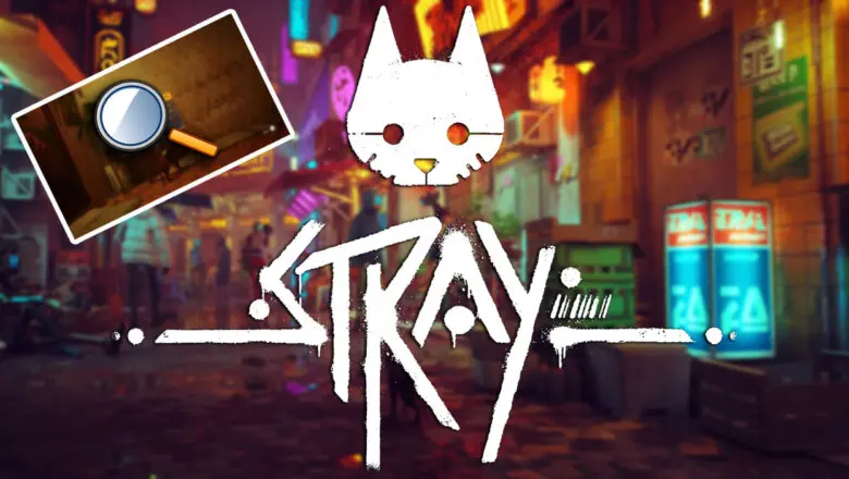 Stray