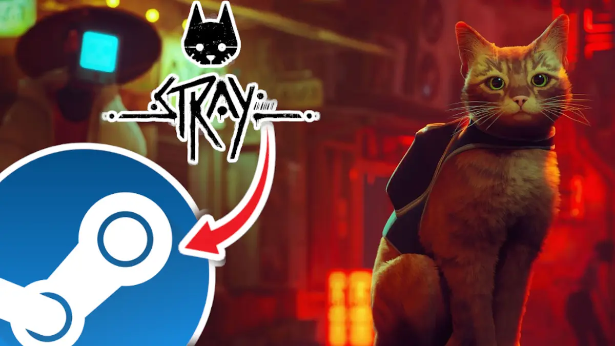 Stray