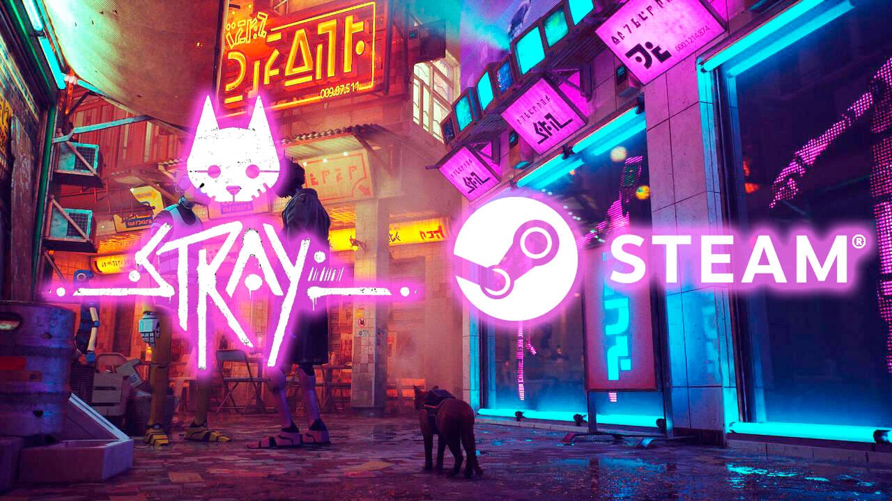 Stray: jogo do gato quebrou recorde de usuários simultâneos na Steam para a  desenvolvedora 