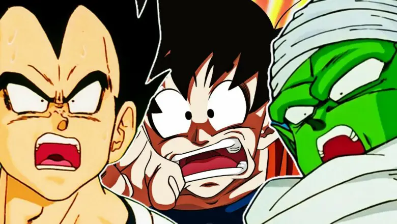 db sorpresa
