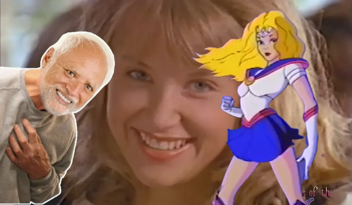 sailor moon anime usa sajld