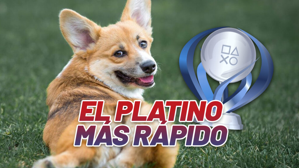 acaricia al perro trofeo platino