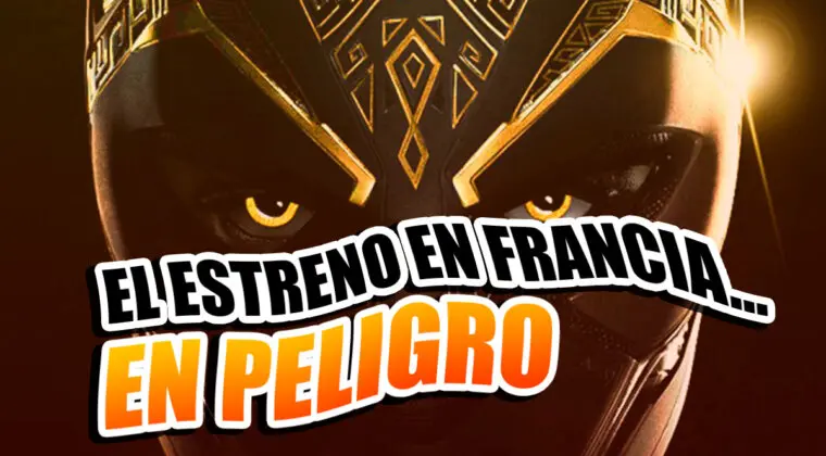 Imagen de ¿Qué ocurre con el estreno de Black Panther: Wakanda Forever en Francia? Disney lo tiene difícil