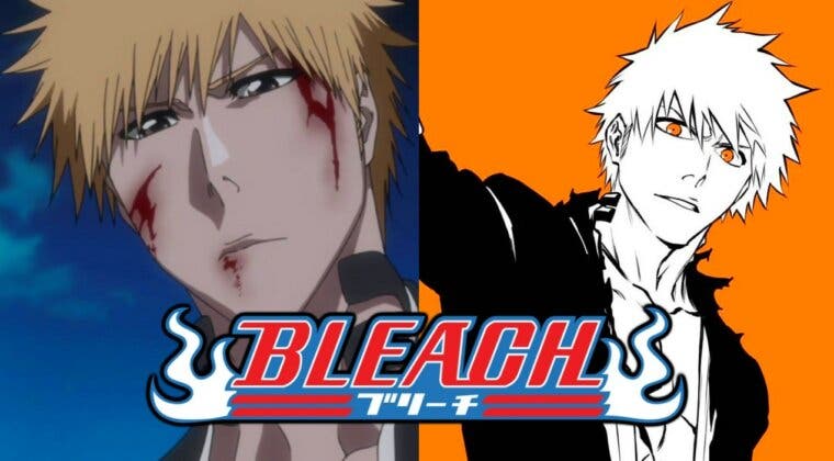 Imagen de Bleach: tras el final del anime, ¿Qué capítulos del manga debo leer para seguir con la historia?