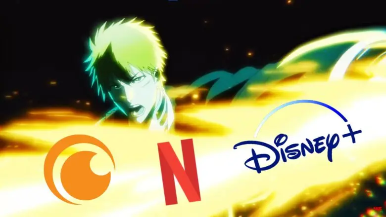 bleach por donde cojones