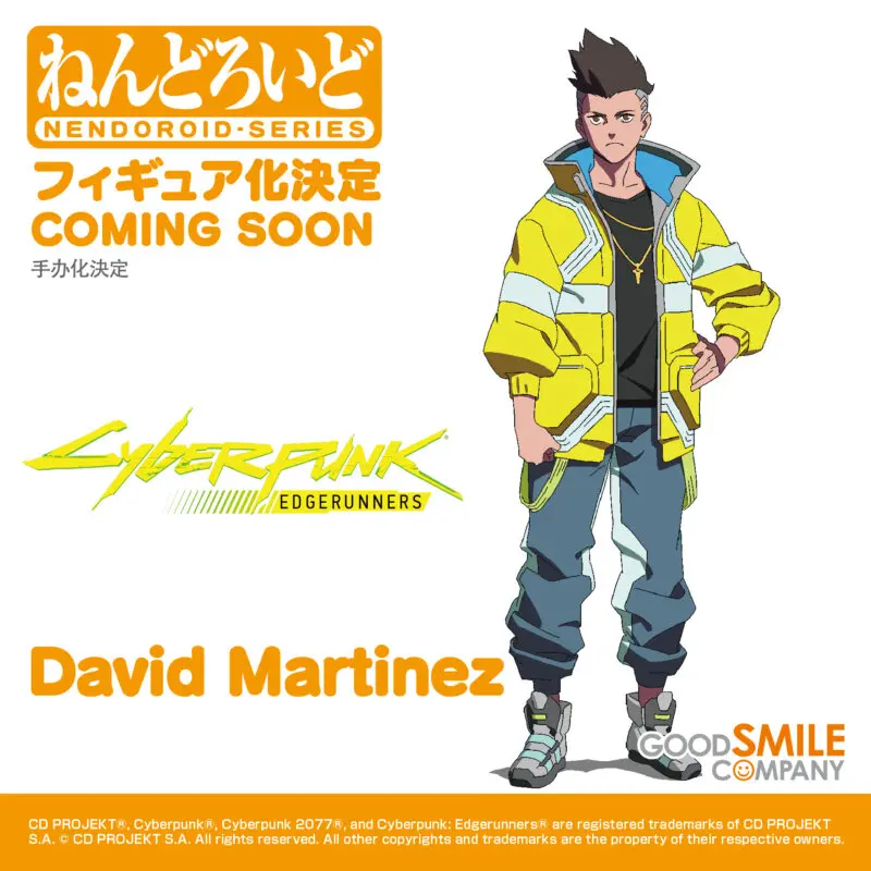 david