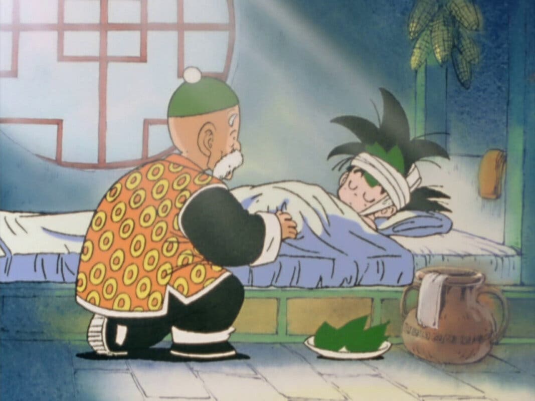 goku recuperando