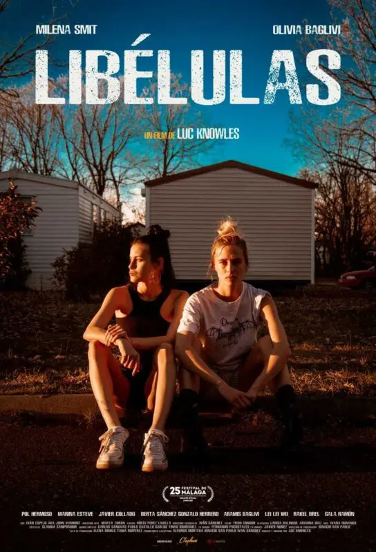 libelulas