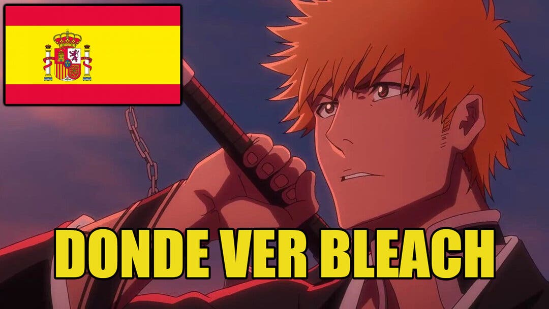 Bleach - Ver la serie online completas en español