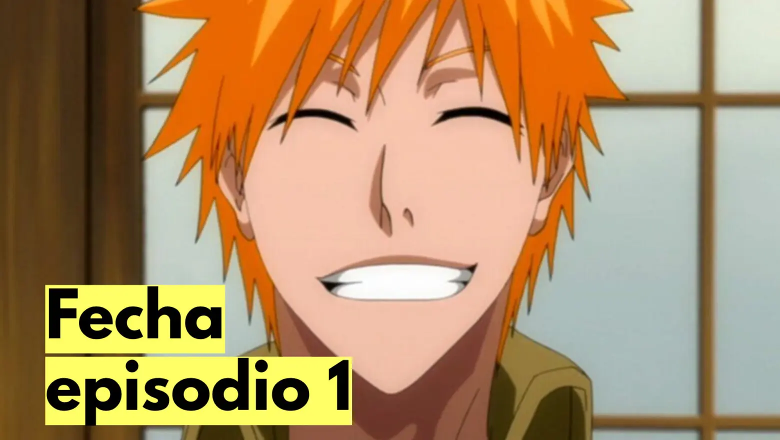 Bleach TYBW horario