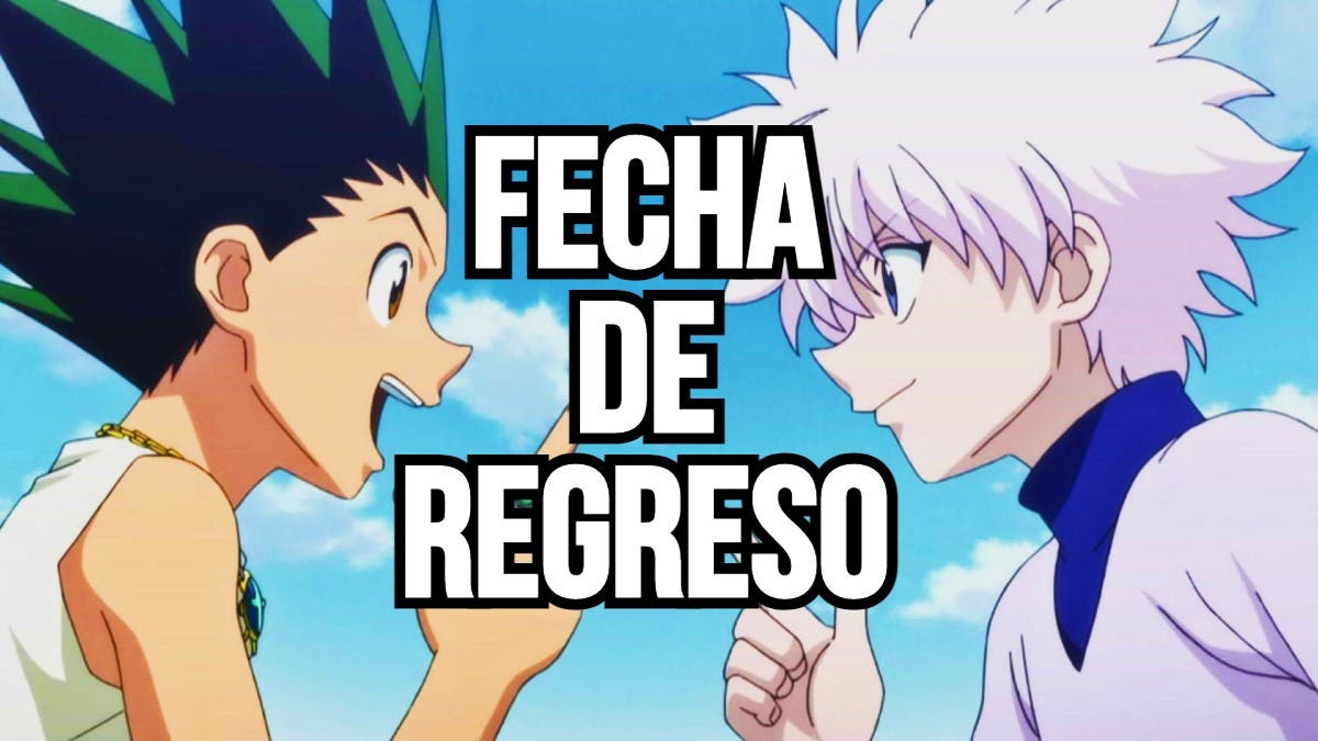 HUNTER x HUNTER volta a ser suspenso e já não será semanal - Anime United