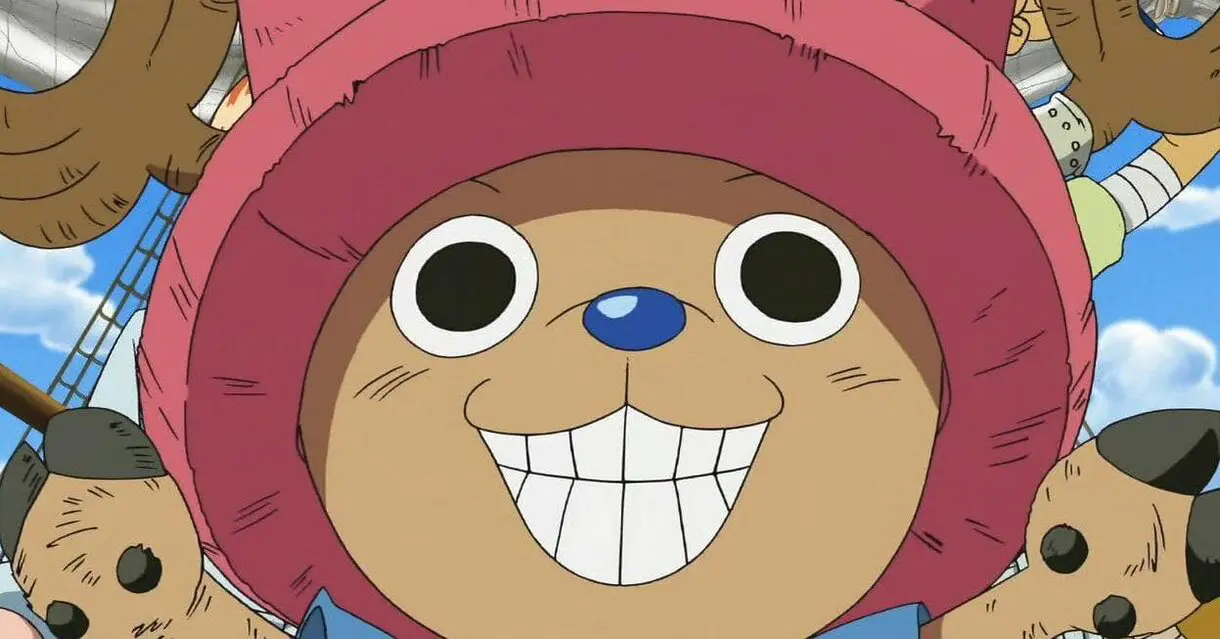 One Piece Chopper