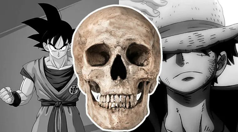 Imagen de Le hacen escoger entre Dragon Ball y One Piece y pierde (injustamente) 30 mil euros