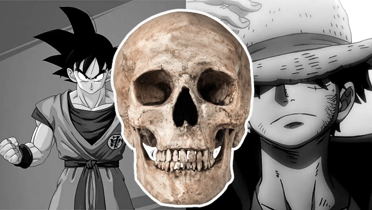 one piece dragon ball