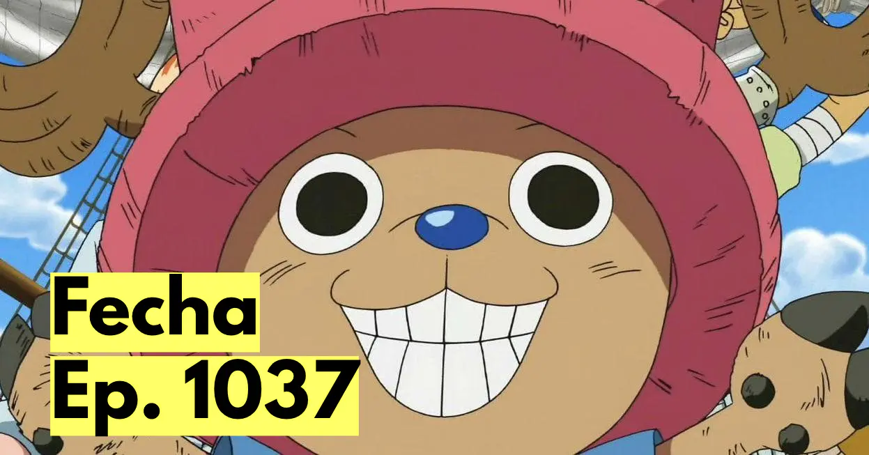 One Piece horario