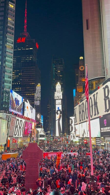 one piece times square 6