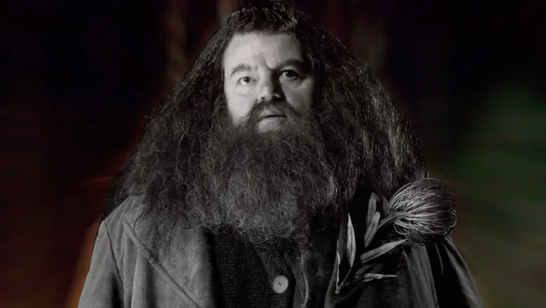 robbie coltrane hagrid